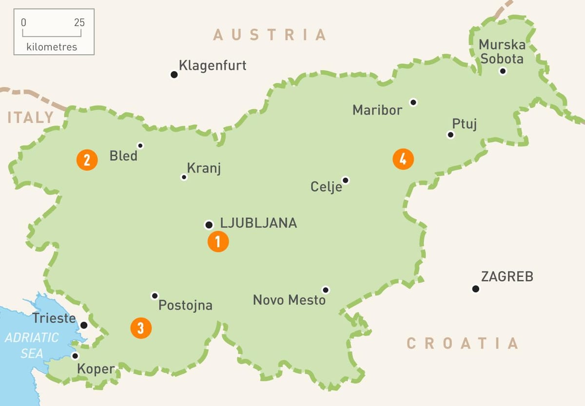 Карта на Словения региони
